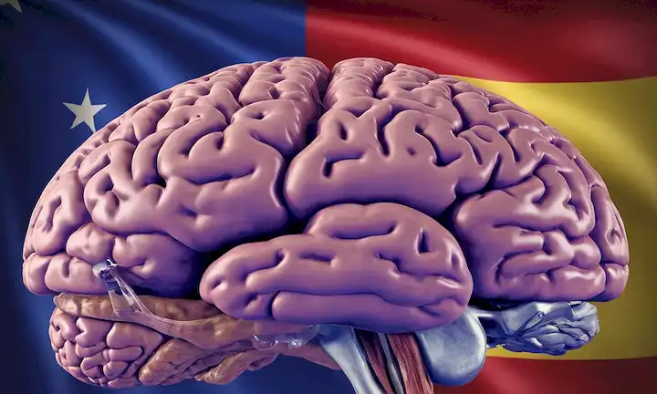 Escaneo cerebral 3D, acumulación de placa de enfermedad de Alzheimer, fondo de bandera española débil, azul gradiente sutil a color púrpura