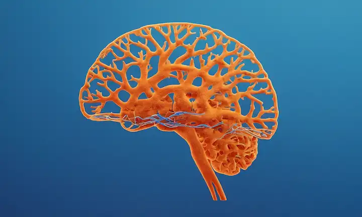 Escaneo cerebral 3D con neuronas, un gradiente suave de azul a naranja, una ilustración de una cabeza de personas con una enfermedad de Alzheimer sutil superposición de progresión, un icono de pieza de rompecabezas en el fondo, un efecto de enfoque suave, una paleta de color calmante