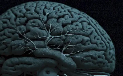 Escaneos cerebrales 3D con materia gris fragmentada