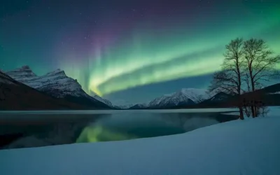 Un paisaje sereno de invierno