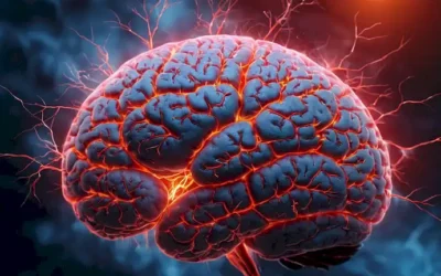 Un cerebro de personas con neuronas y sinapsis resaltado