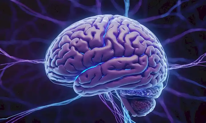 Escaneo cerebral 3D con conexiones neuronales brillantes, luces púrpuras y azules que representan la conciencia, un esbozo sutil de la cabeza de los pensadores en el fondo, hilos wispy que conectan neuronas entre sí, enfoque suave en la corteza cerebral, afeitado sutil para transmitir profundidad