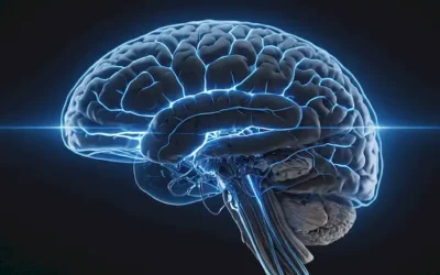 Escaneo cerebral 3D con médula espinal resaltado en conexiones azules y neuronales ilustradas como líneas brillantes