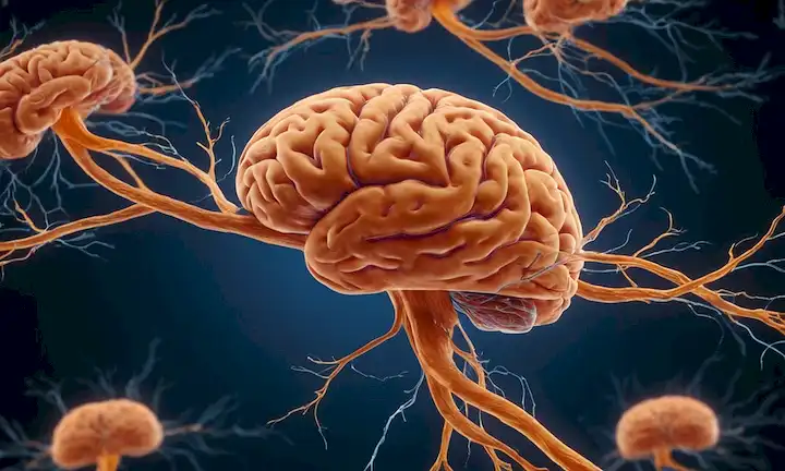 Células cerebrales humanas 3D en las cadenas de ADN anaranjadas, un sutil indicio de lesiones de materia blanca, un fondo transparente con escasas insinuaciones de resonancia magnética, conexiones neuronales y una malla de luz azul para el diagnóstico de esclerosis múltiple
