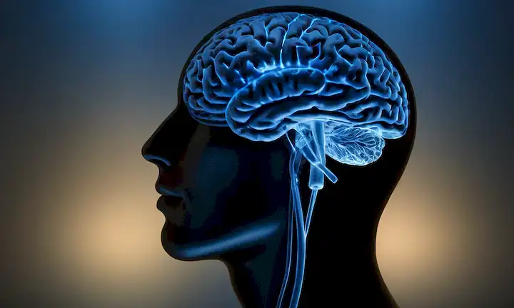 Escaneo cerebral 3D con neuronas brillante azul, espejo-como reflejo en el fondo, imagen débil de la cara humana emergente del cerebro reflejado, sutil gradiente transición a la oscuridad