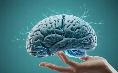 3D rendering of a brain with neurons and synapses highlighted