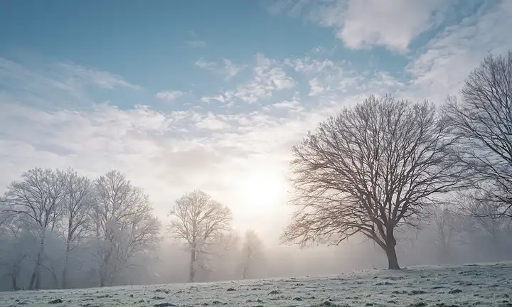 copo de nieve 3D en el aire, rodeado de suaves nubes blancas, sutil paisaje de invierno con árboles desnudos y atmósfera defectuosa, delicada helada en ramas, cielo azul helado encima, suave luz solar filtrando a través de nubes, escena serena y pacífica