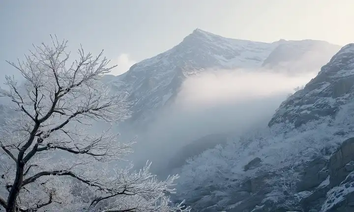 paisaje de montaña helado con copos de nieve suspendidos en el aire medio, helada suave en las ramas, formaciones de hielo cristalino en la superficie rocosa, niebla atmosférica velando picos distantes