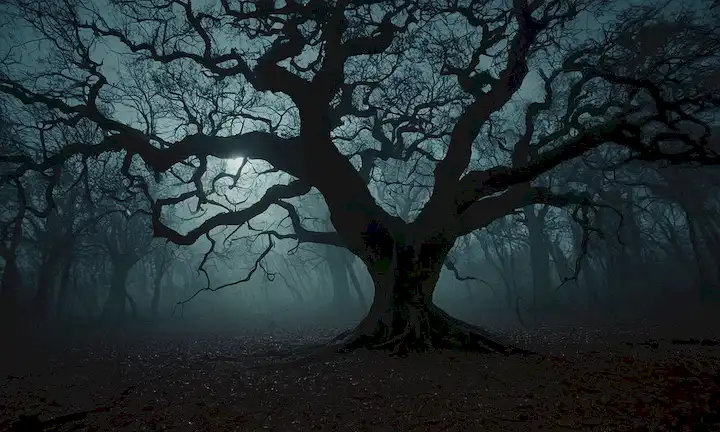 Un bosque oscuro y lencería, una luz de luna débil, una silueta de un gigante, un árbol espeluznante con ramas torcidas, una sensación de atmósfera preponderante, sombras bailando en el suelo
