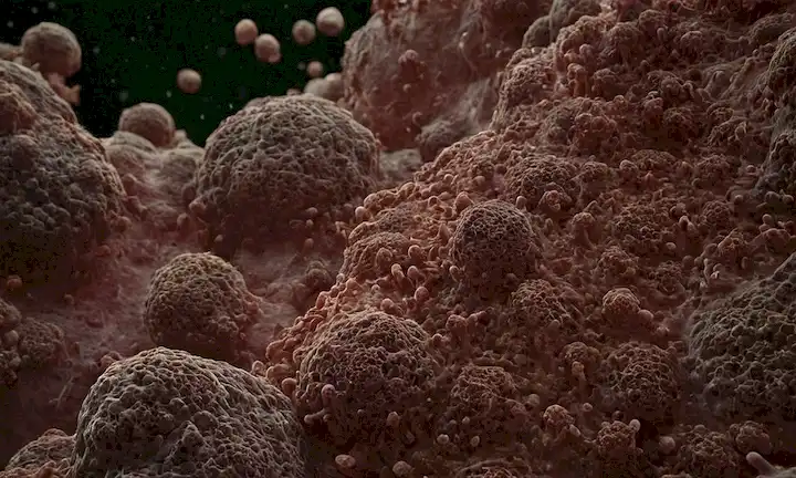 células 3D en movimiento, masas cancerosas separadas, márgenes tumorales, vasos sanguíneos, membranas, microvillos, dinámica celular, migración celular, invasión, procesos metastásicos, fondo oscuro